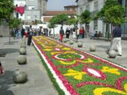 Click para ver a foto maior